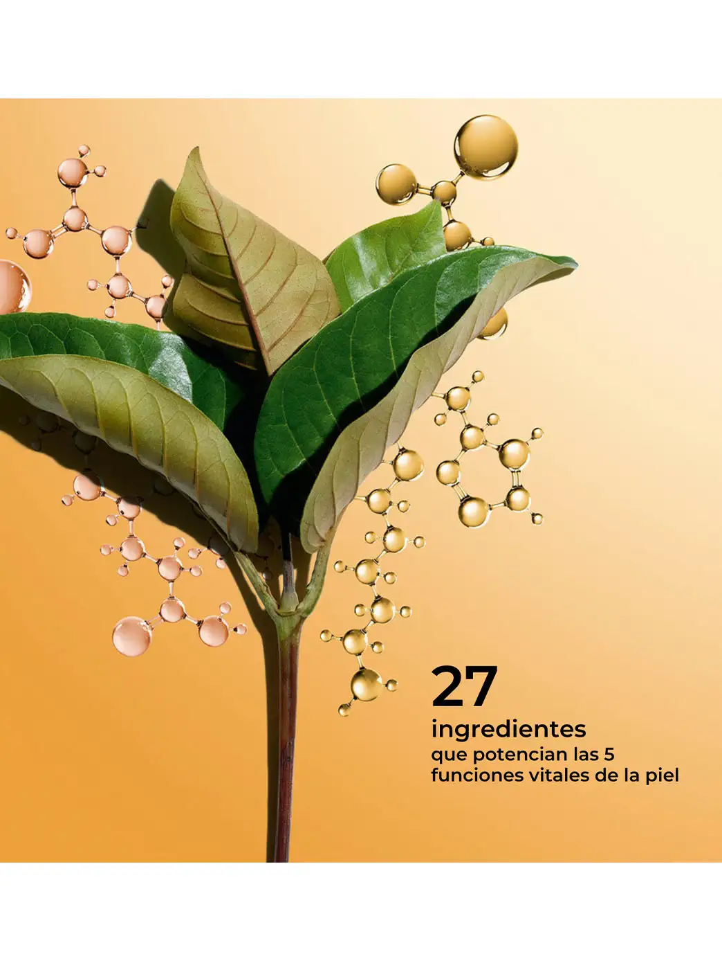 Double Serum - Imagen 19
