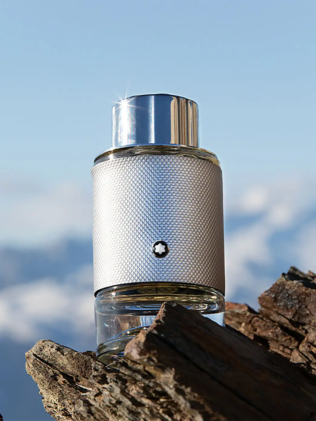 Explorer Platinum - Image 4