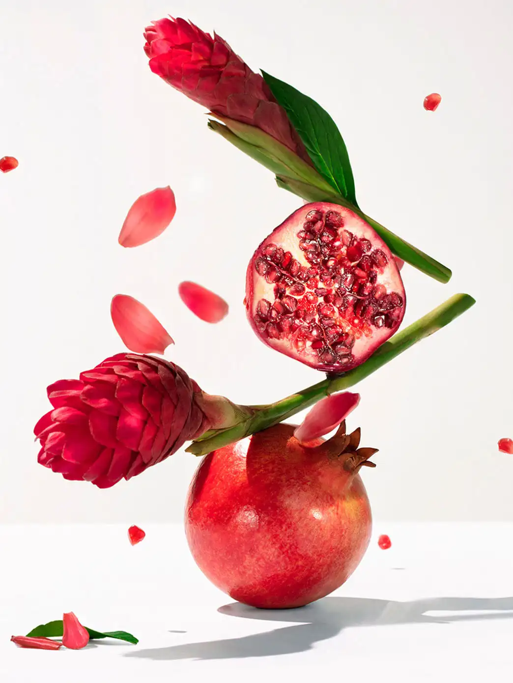 Gingembre Rouge - Imagen 26