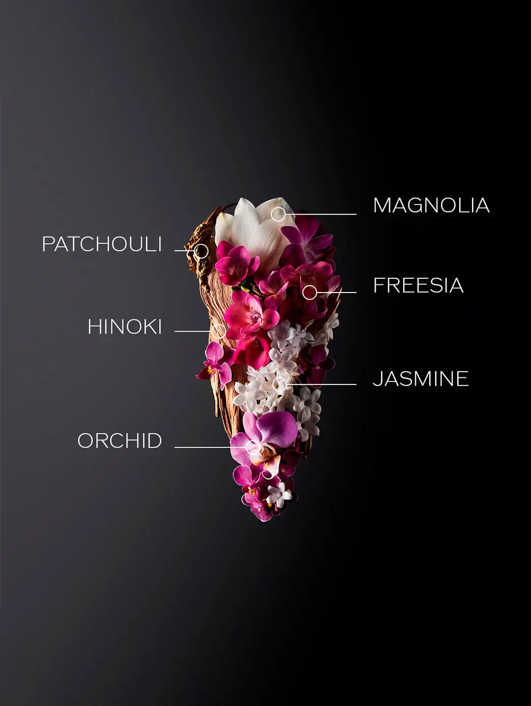 Ginza - Image 6