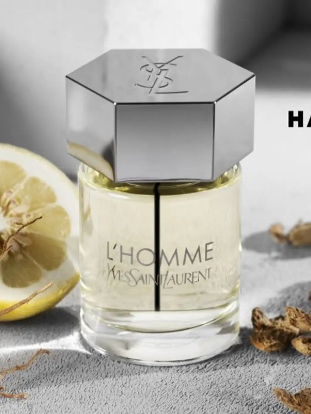 L'Homme - Imagen 35