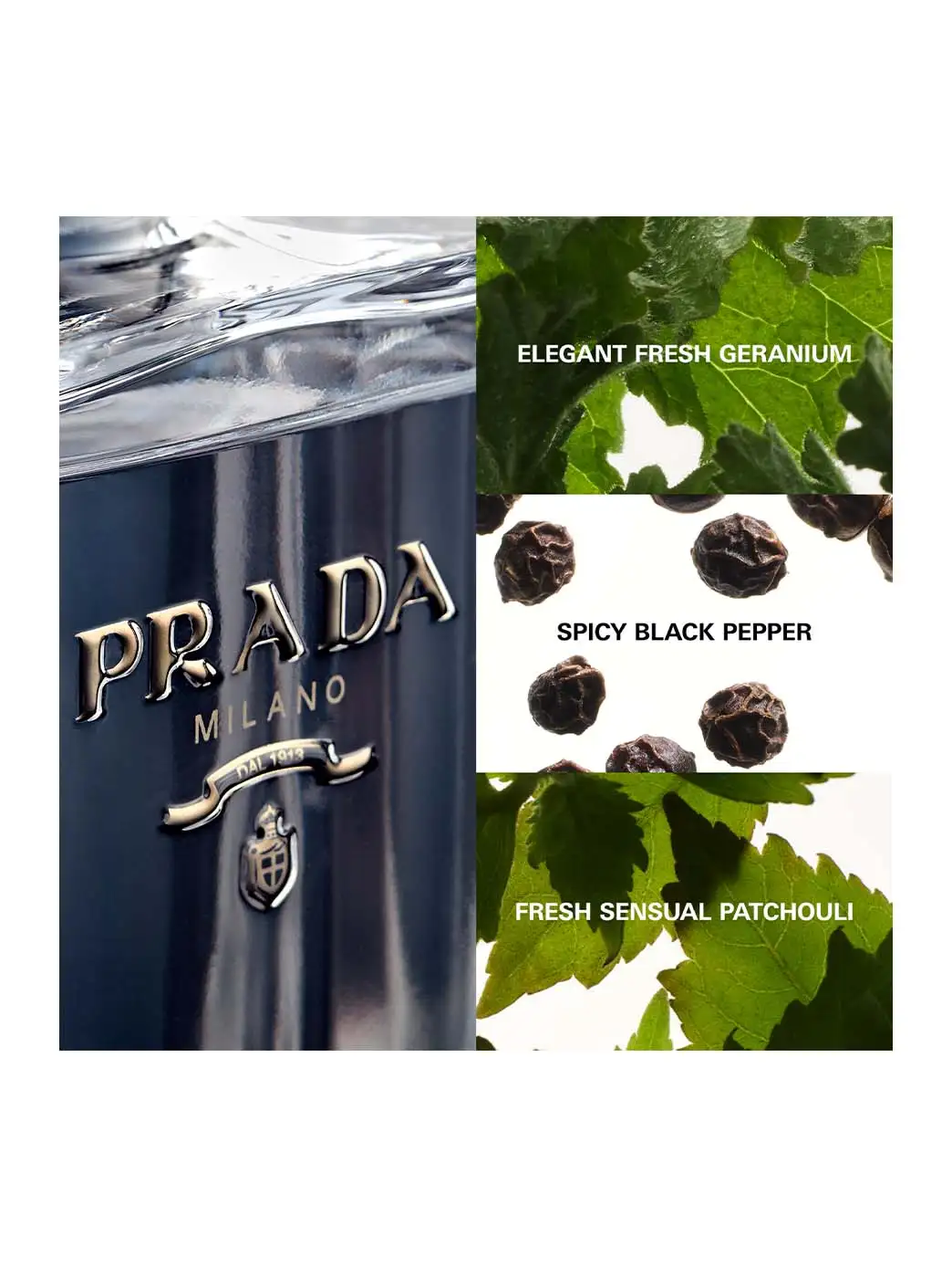 L'Homme Prada - Imagen 22