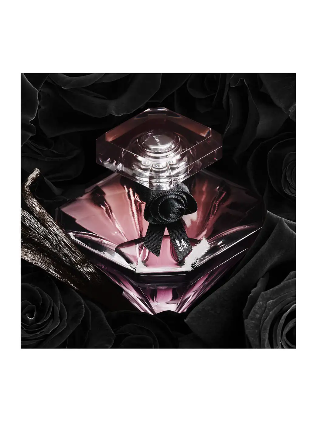 La Nuit Trésor - Imagen 7
