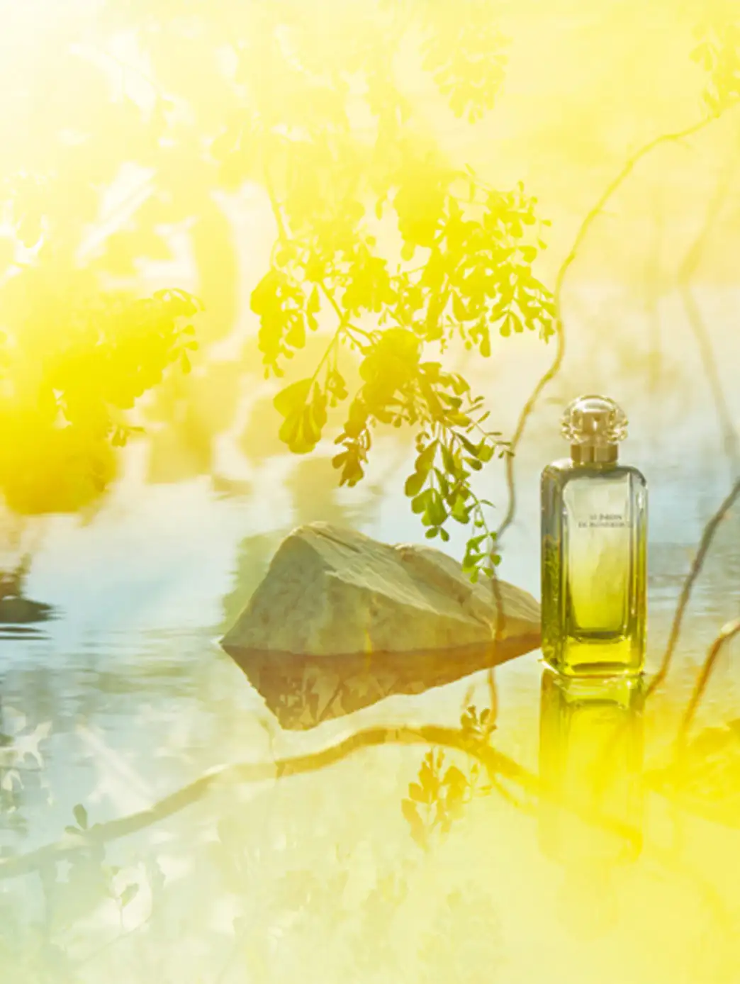 LE Jardin de Monsieur - Image 3