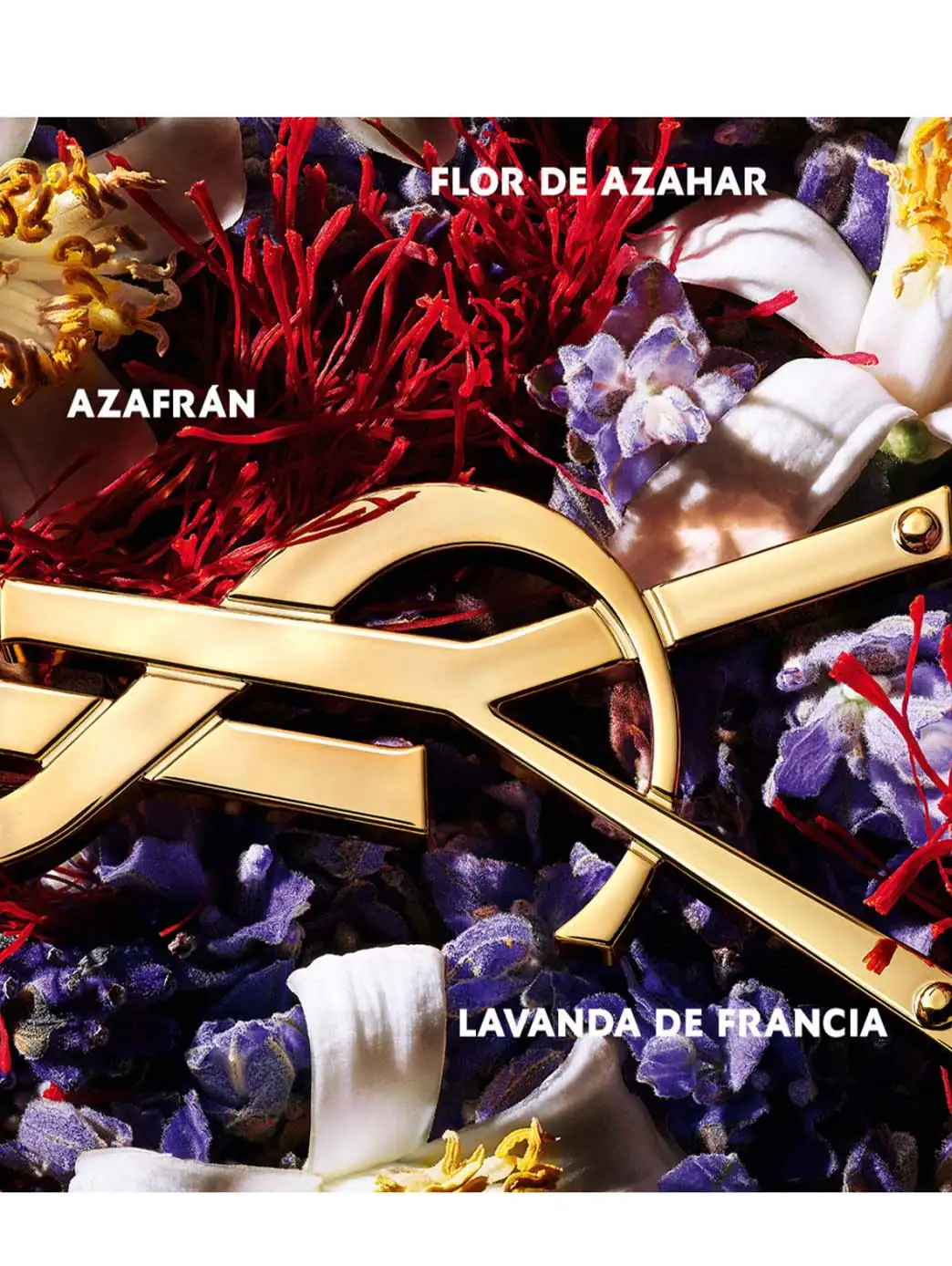 Libre Le Parfum - Imagen 3