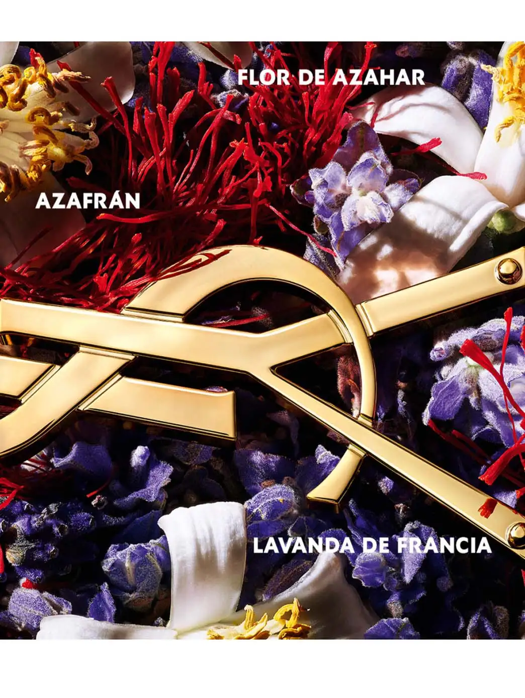Libre Le Parfum - Imagen 12
