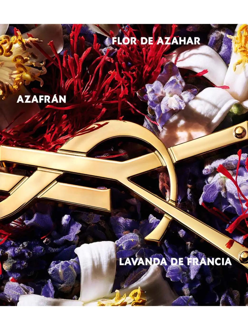 Libre Le Parfum - Imagen 51