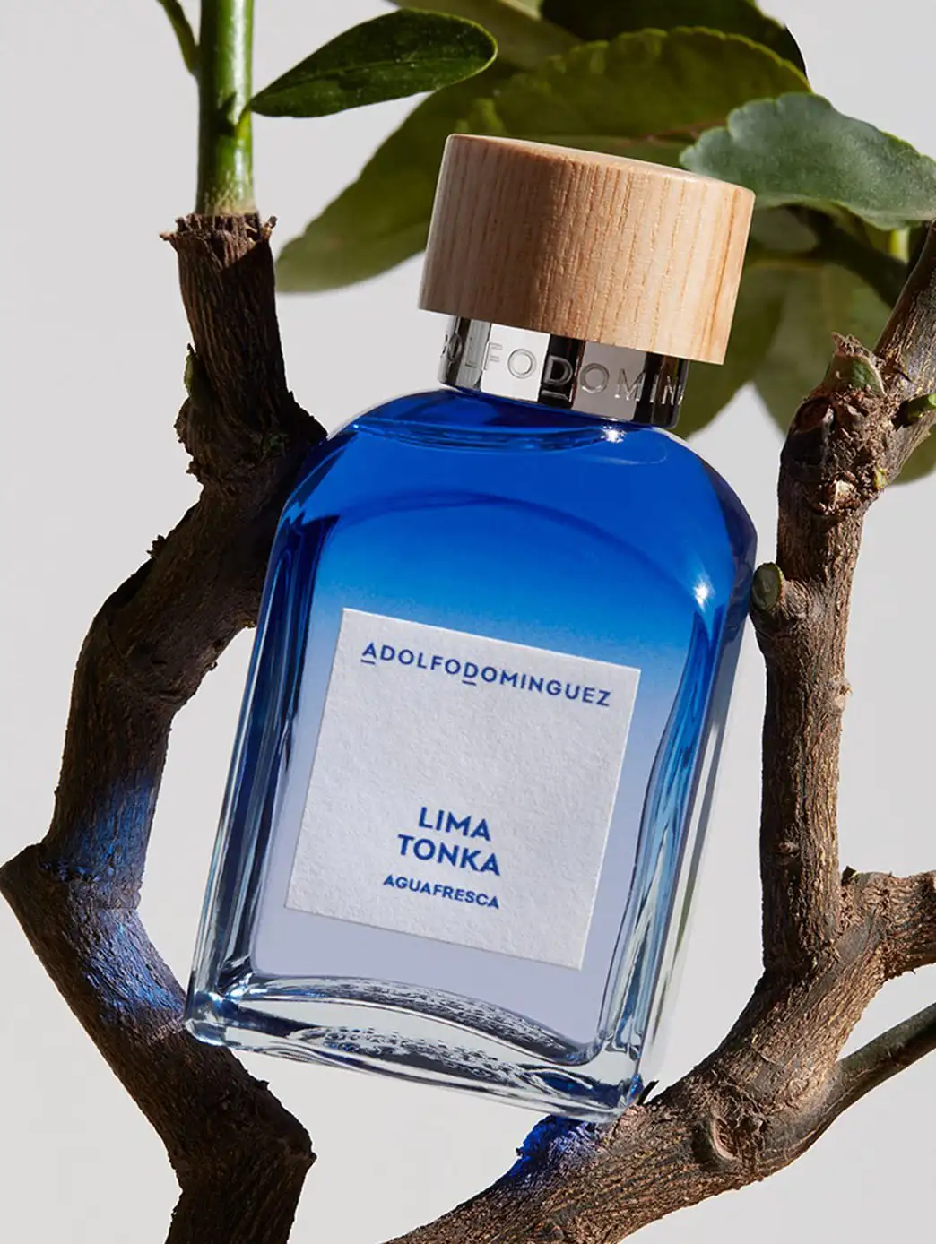 Lima Tonka - Image 5