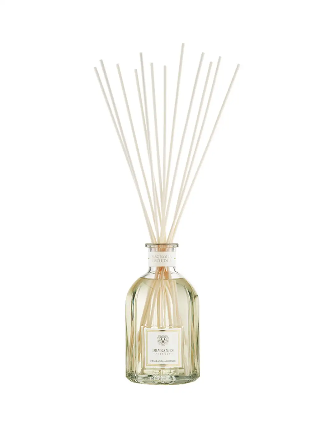 Orchidea Magnolia - Image 3