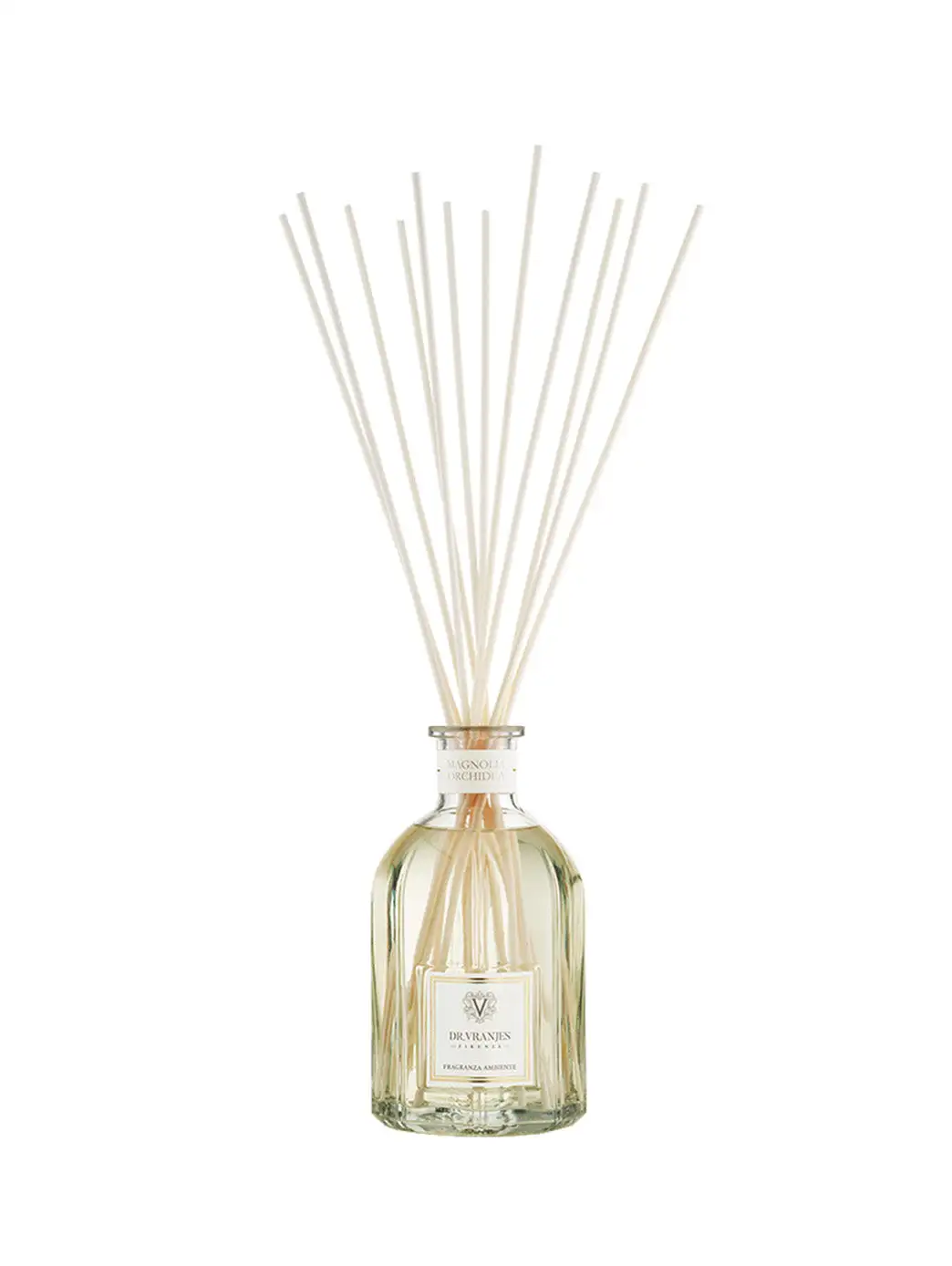Orchidea Magnolia - Image 6