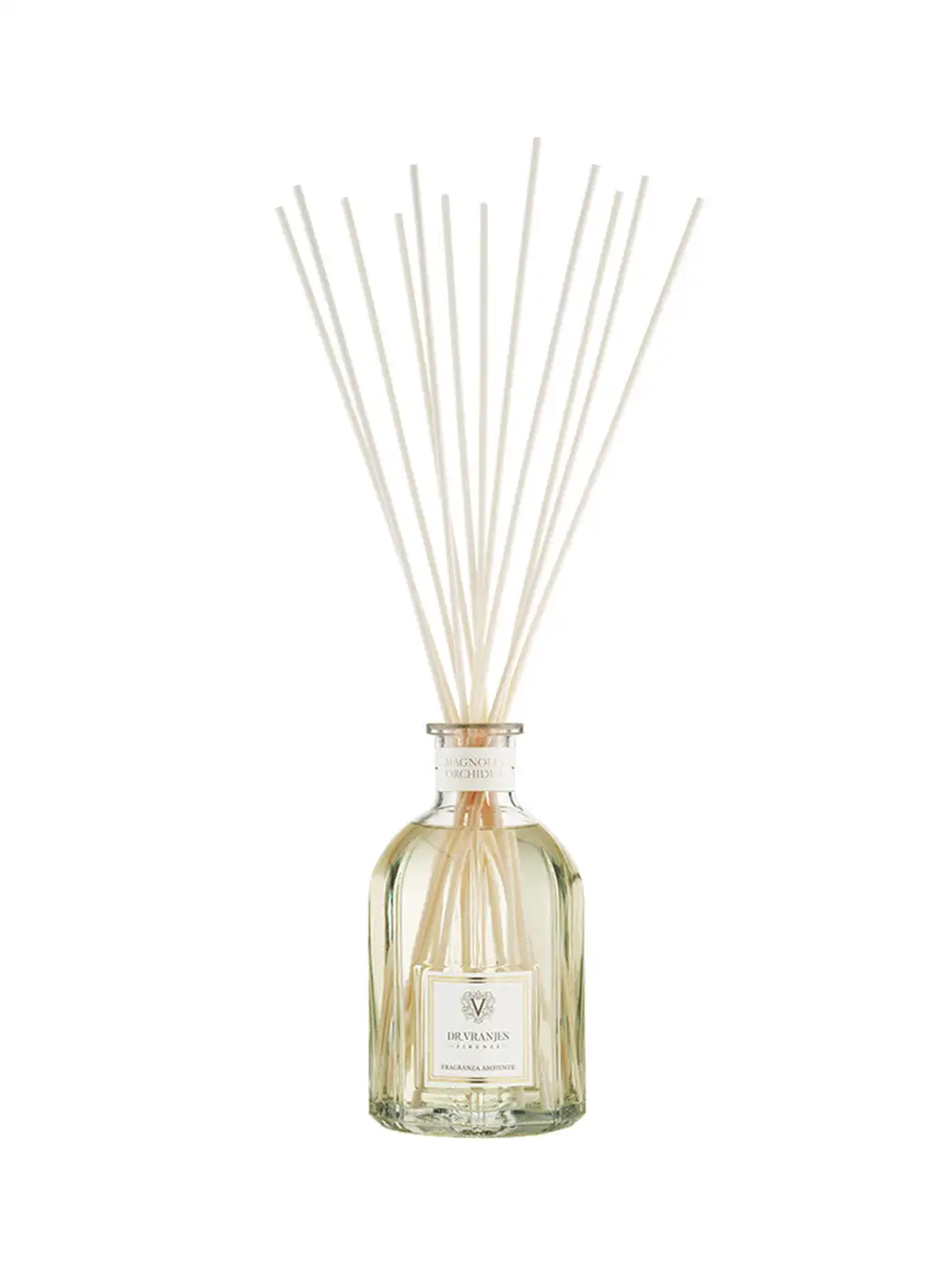 Orchidea Magnolia - Image 20