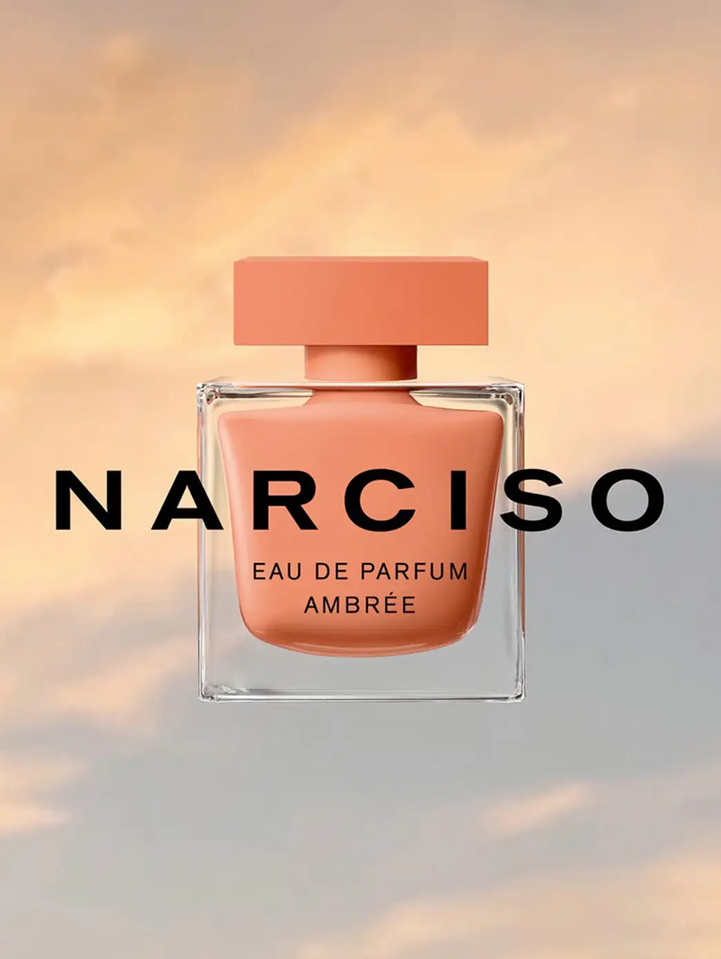 Narciso Ambrée - Imagen 14