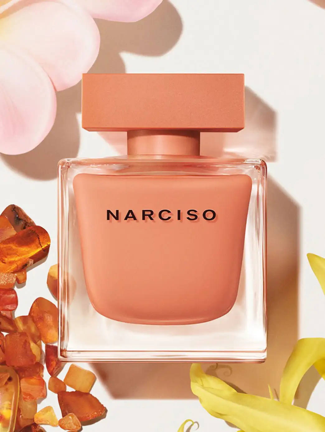 Narciso Ambrée - Imagen 40