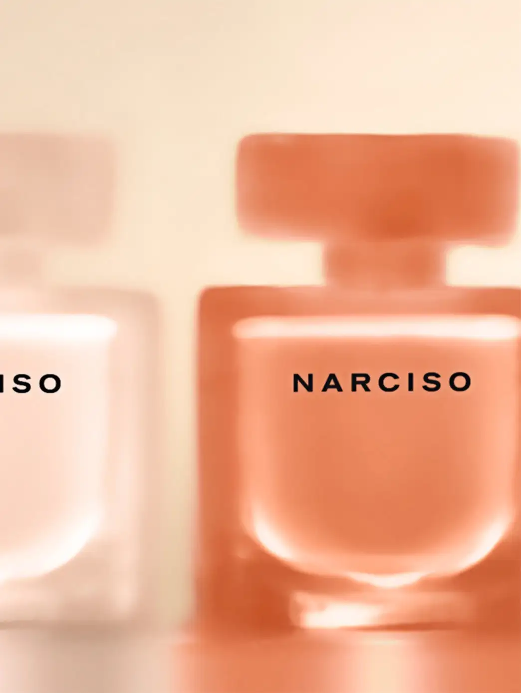 Narciso Ambrée - Imagen 67