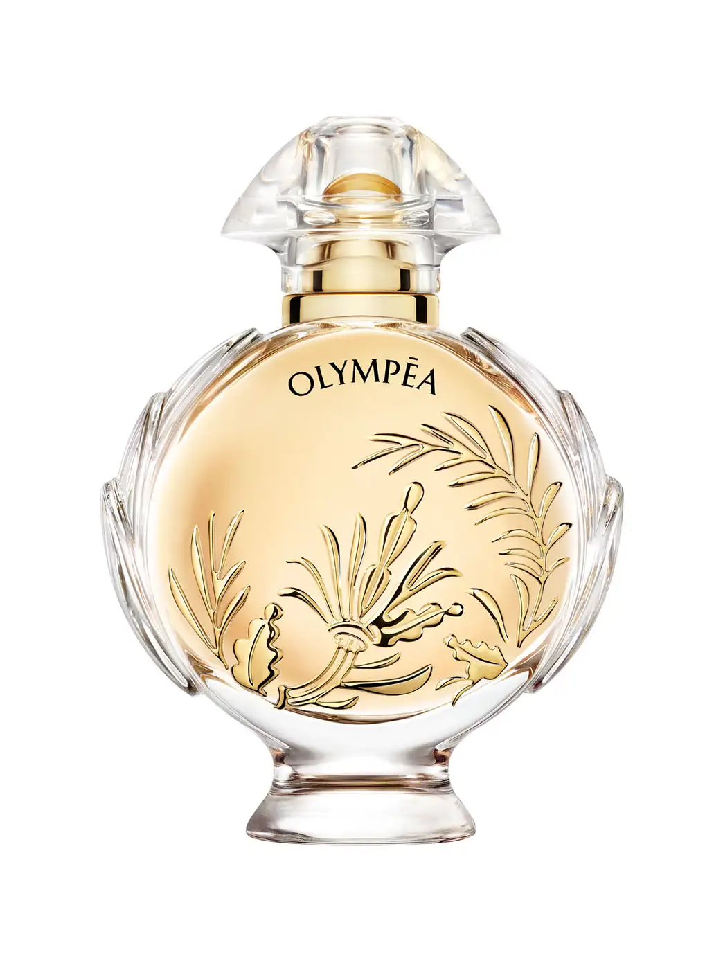 Olympea Solar - Image 8