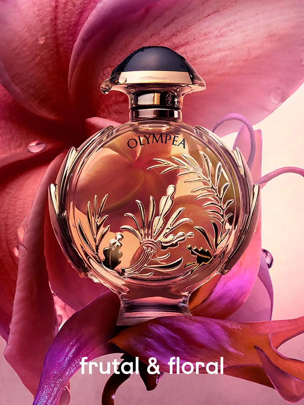 Olympea Solar - Image 35