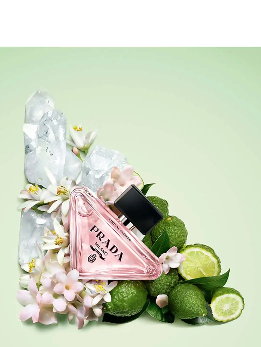 Paradoxe Virtual Flower Refill - Imagen 3