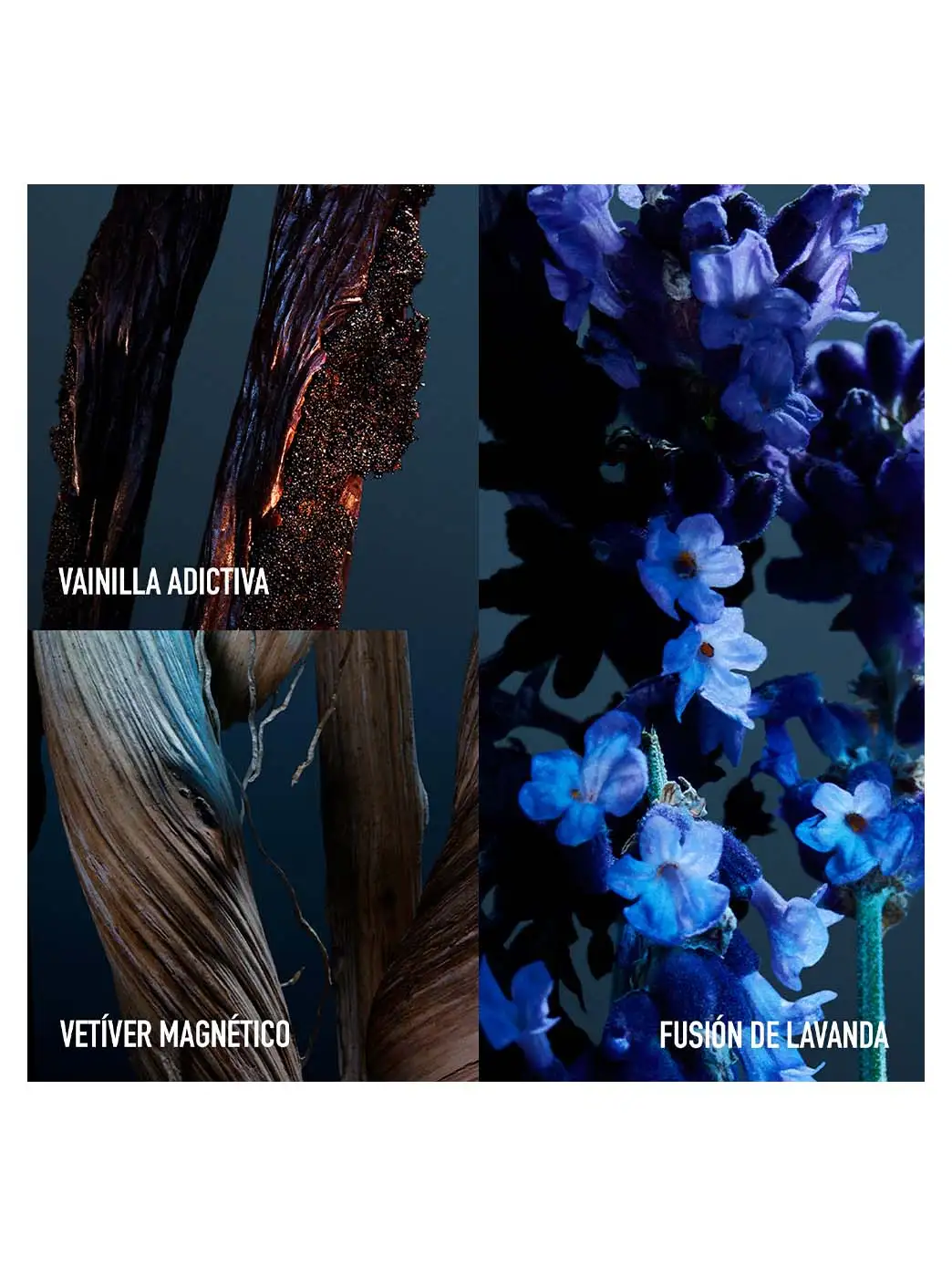 Phantom Parfum Refillable - Imagen 12