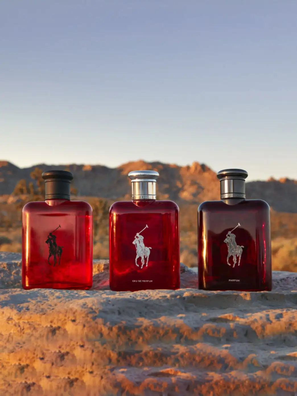 Polo Red - Imagen 50