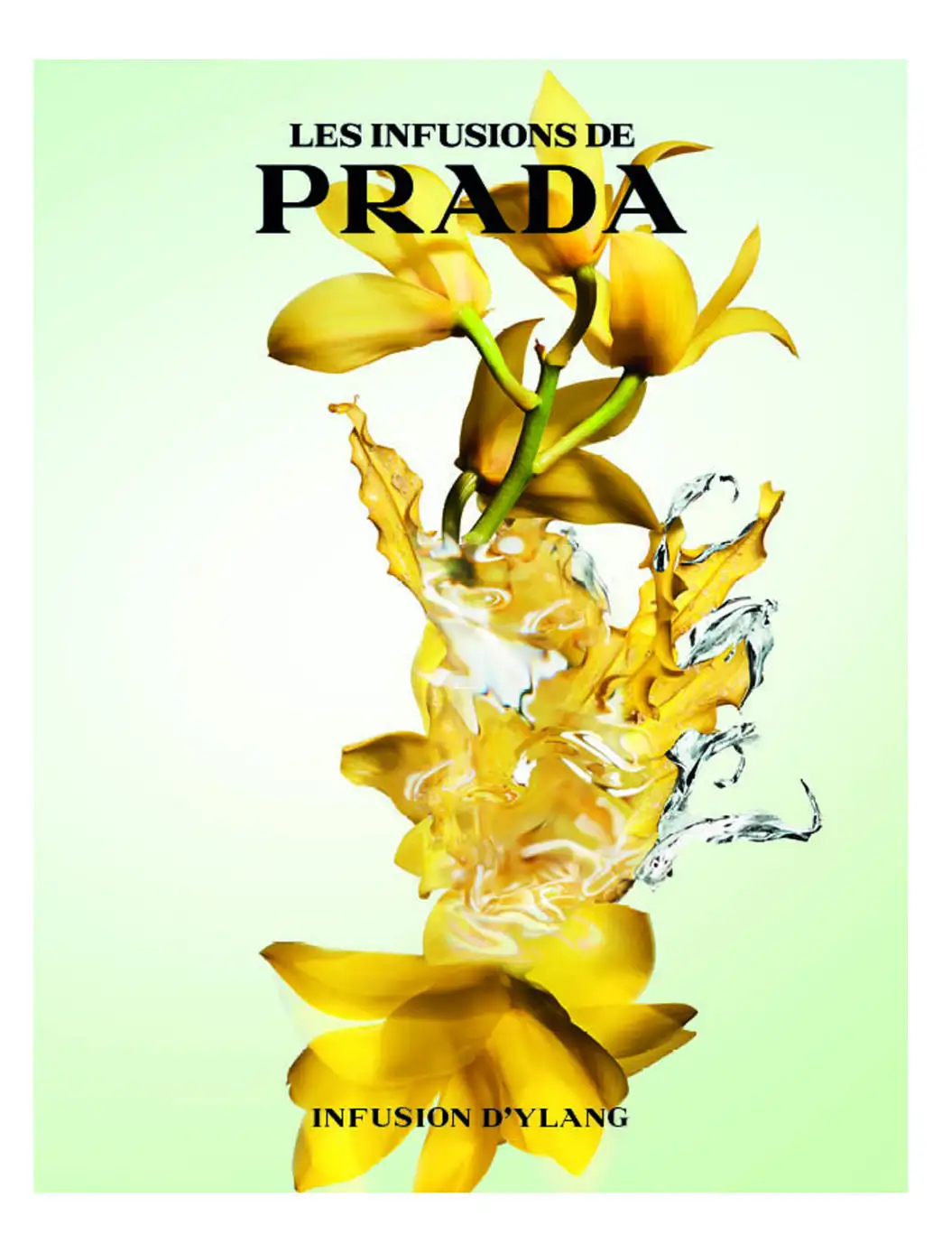 Prada Infusion D''''ylang - Imagen 15
