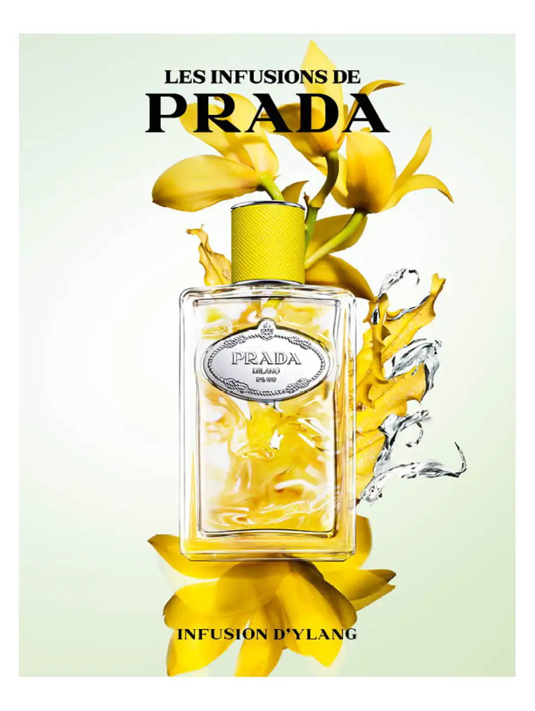 Prada Infusion D''''ylang - Imagen 49