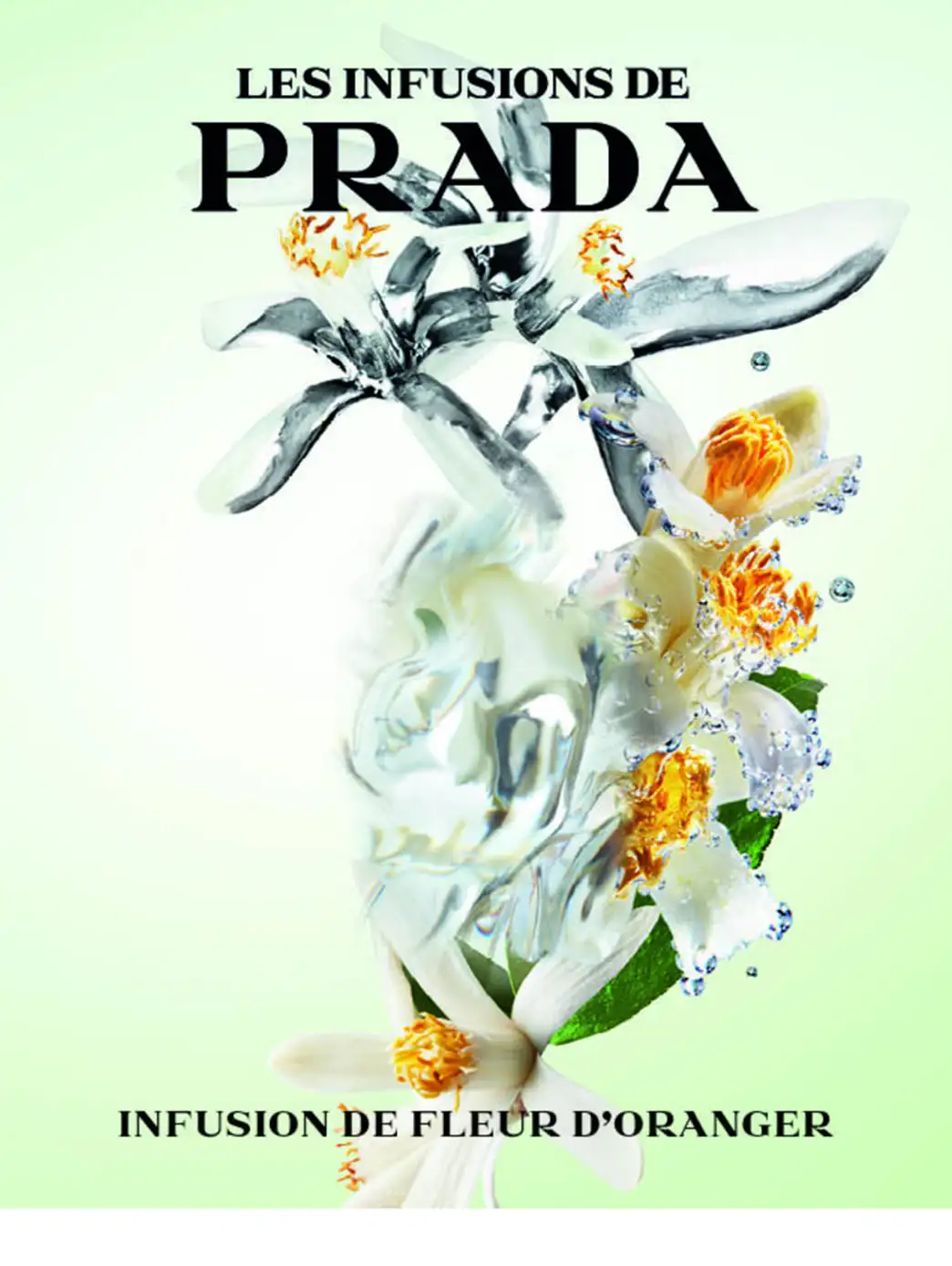 Prada Infusion De Fleur D''''Oranger - Imagen 25