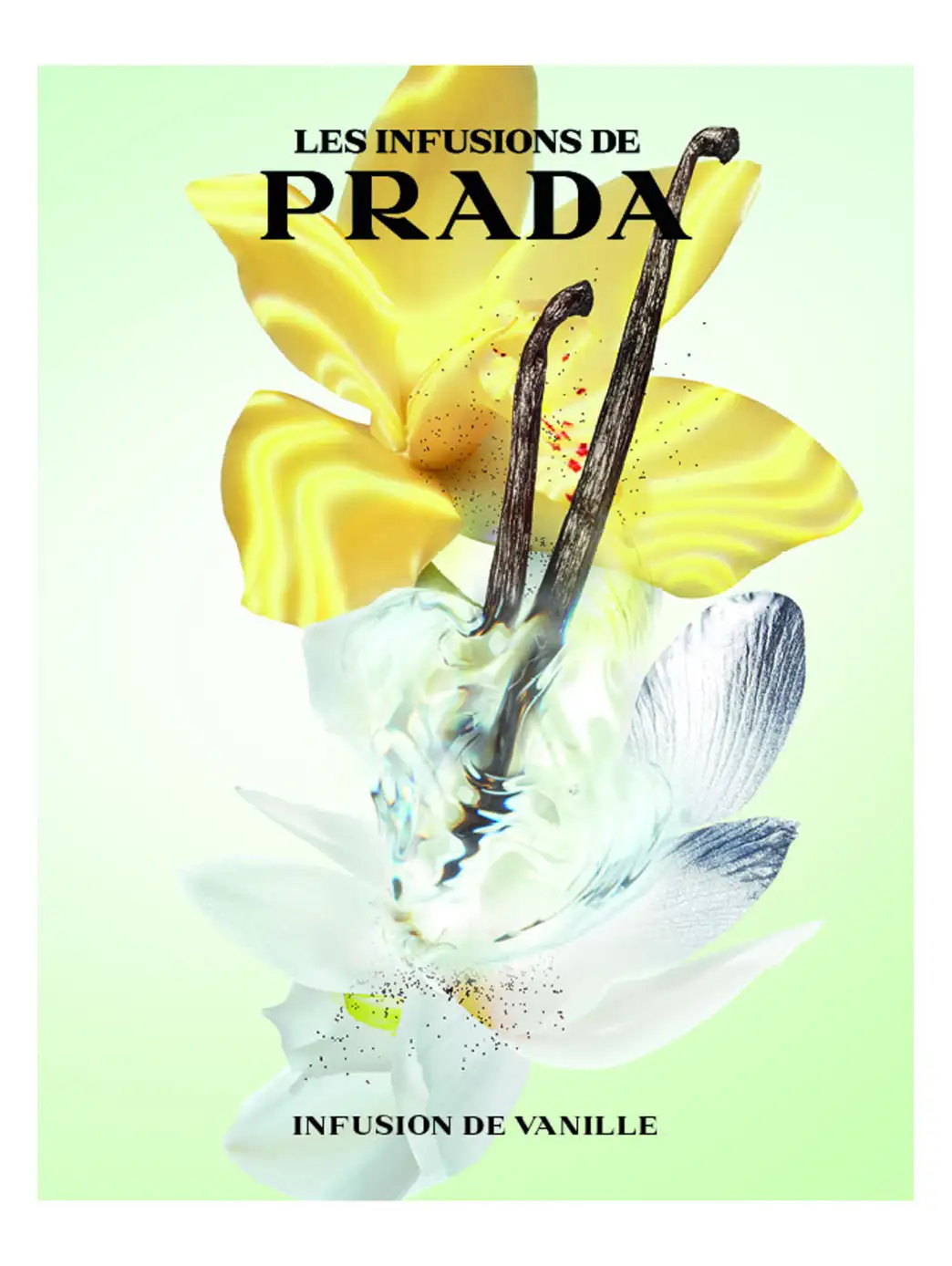 Prada Infusion De Vanille - Imagen 16
