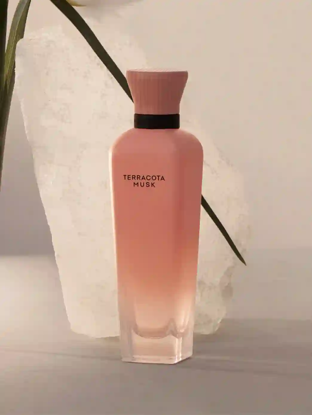 Terracota Musk
