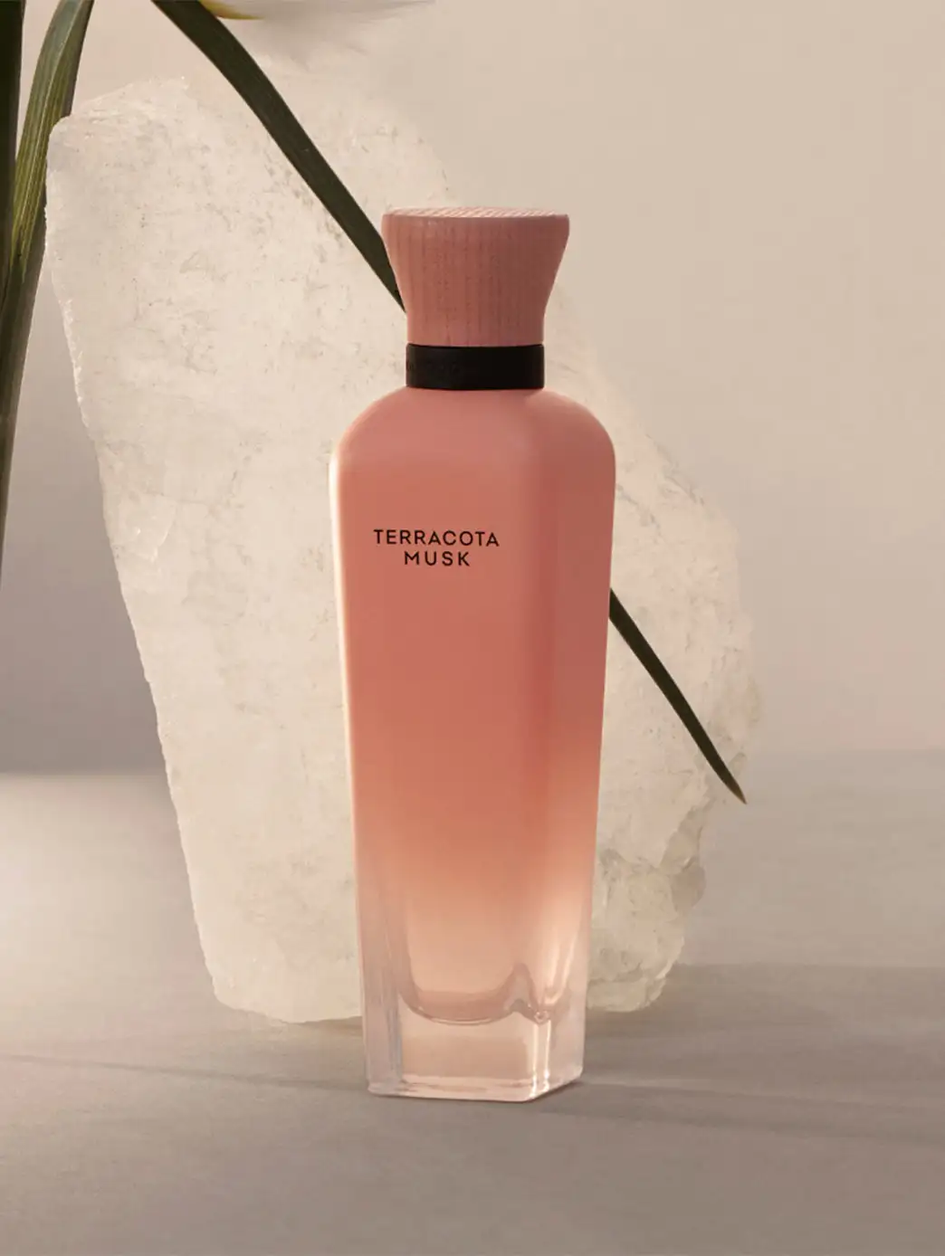Terracota Musk