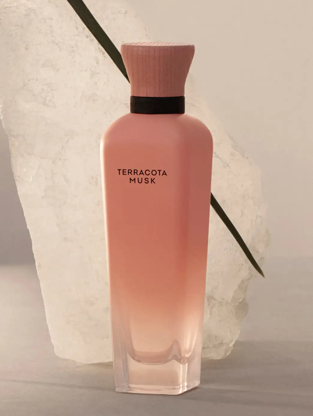 Terracota Musk - Imagen 2