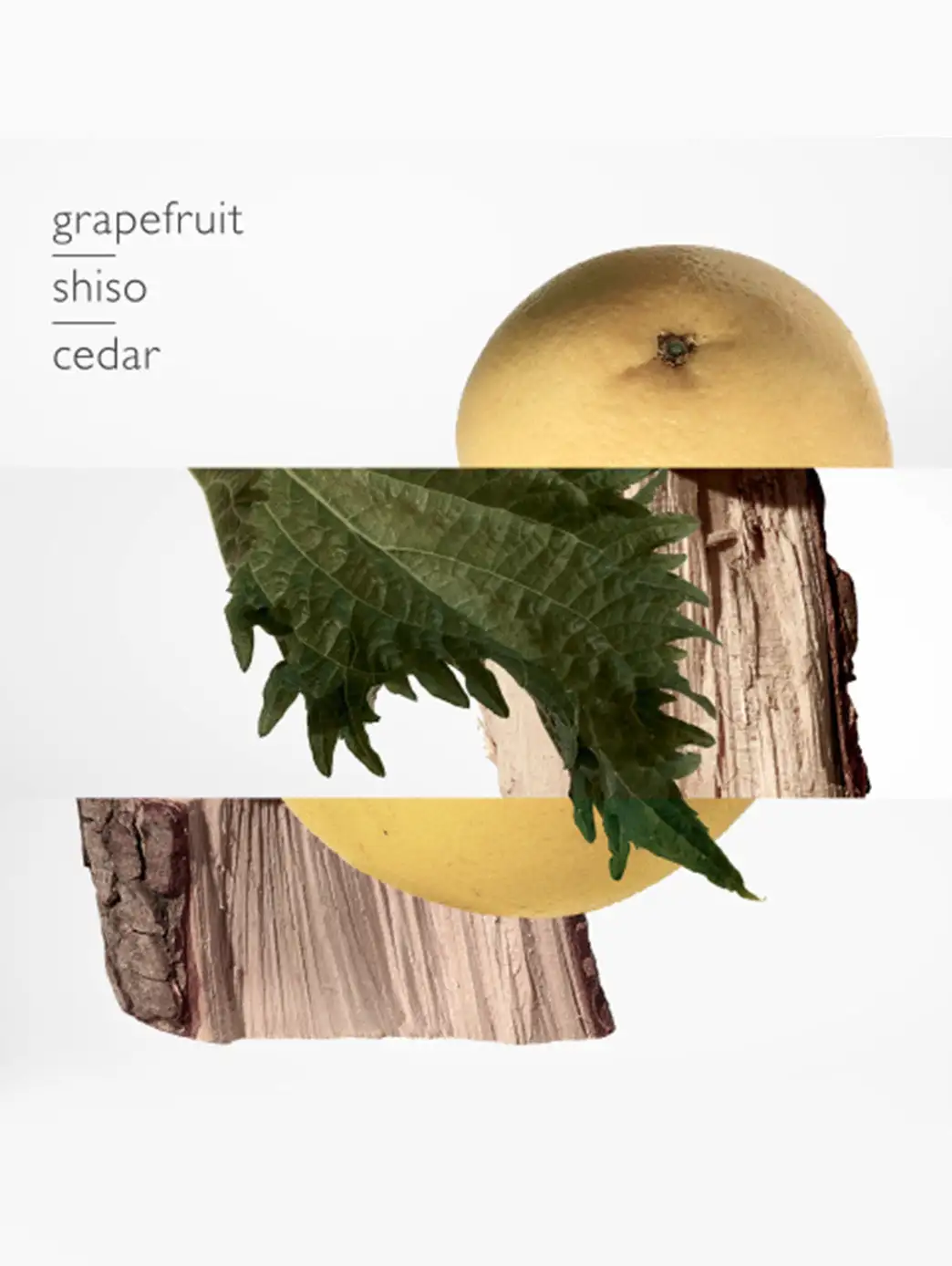 Terre Pure Perfume - Imagen 21