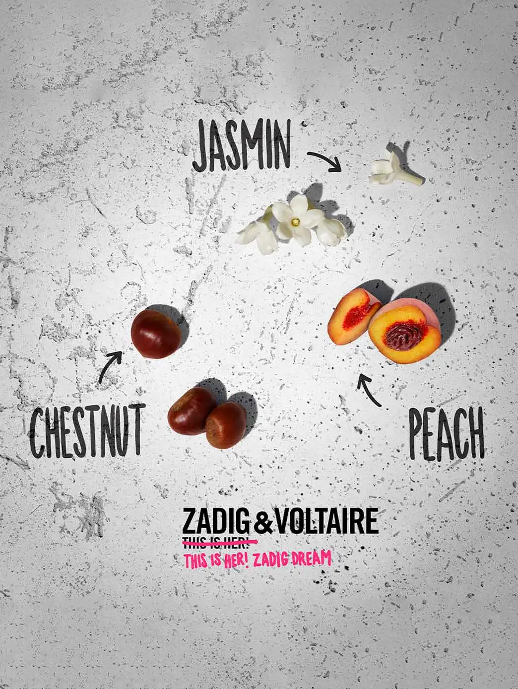 This is her! Zadig Dream - Image 4