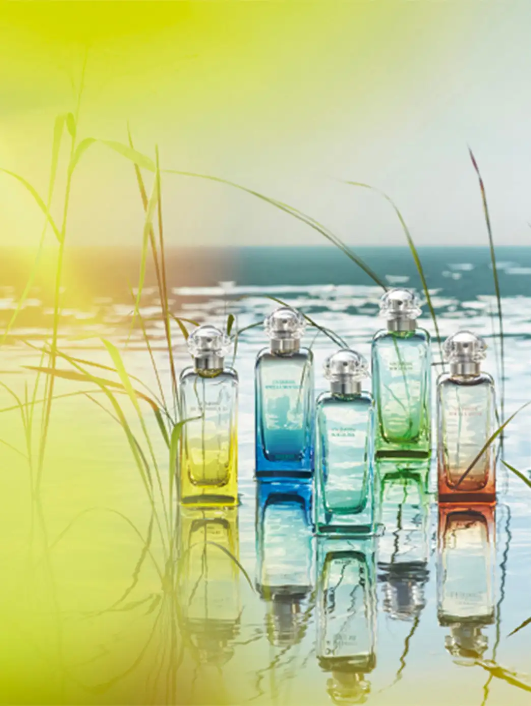 Un Jardin En Mediterranee - Imagen 2