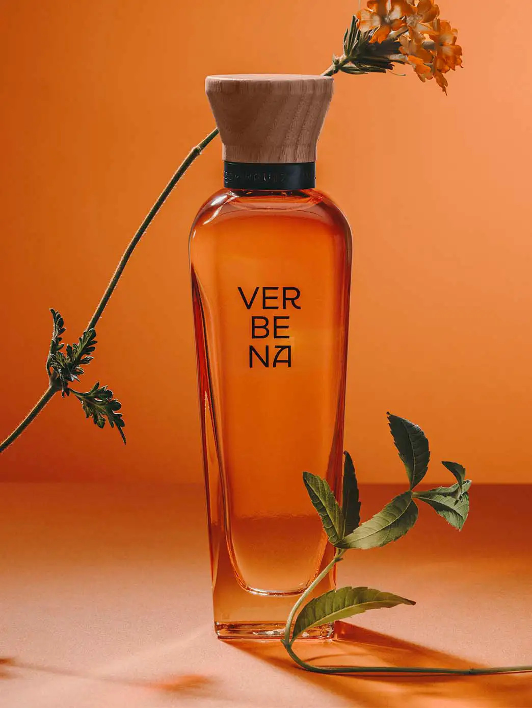 Verbena Limited Edition Mujer - Imagen 6
