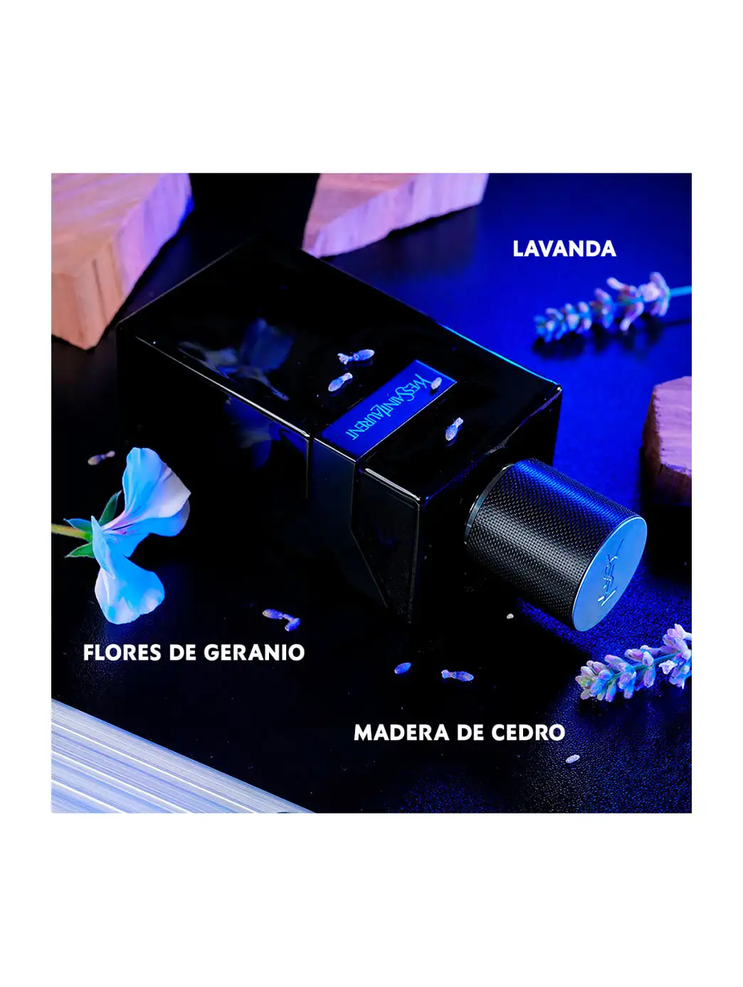 And it parfum - Image 3