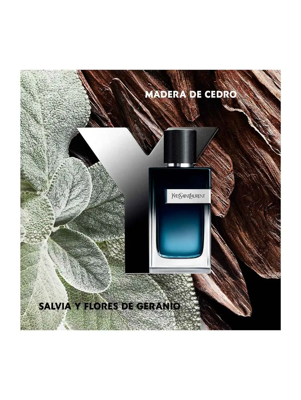 And perfume - Image 52