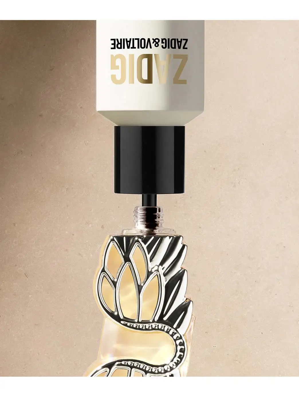 Zadig Refill - Image 5