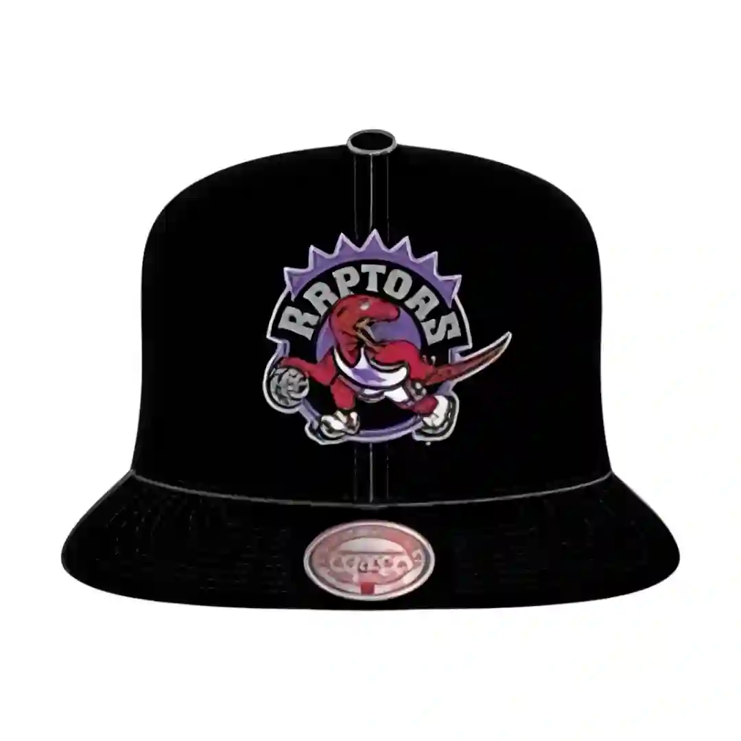 NBA April Showers Toronto Raptors HWC Snapback - Mitchell and Ness