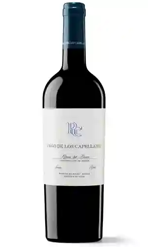 Pago de los Capellanes Joven