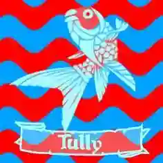 Chapa Cuadrada Tully