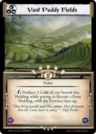 Vast Paddy Fields