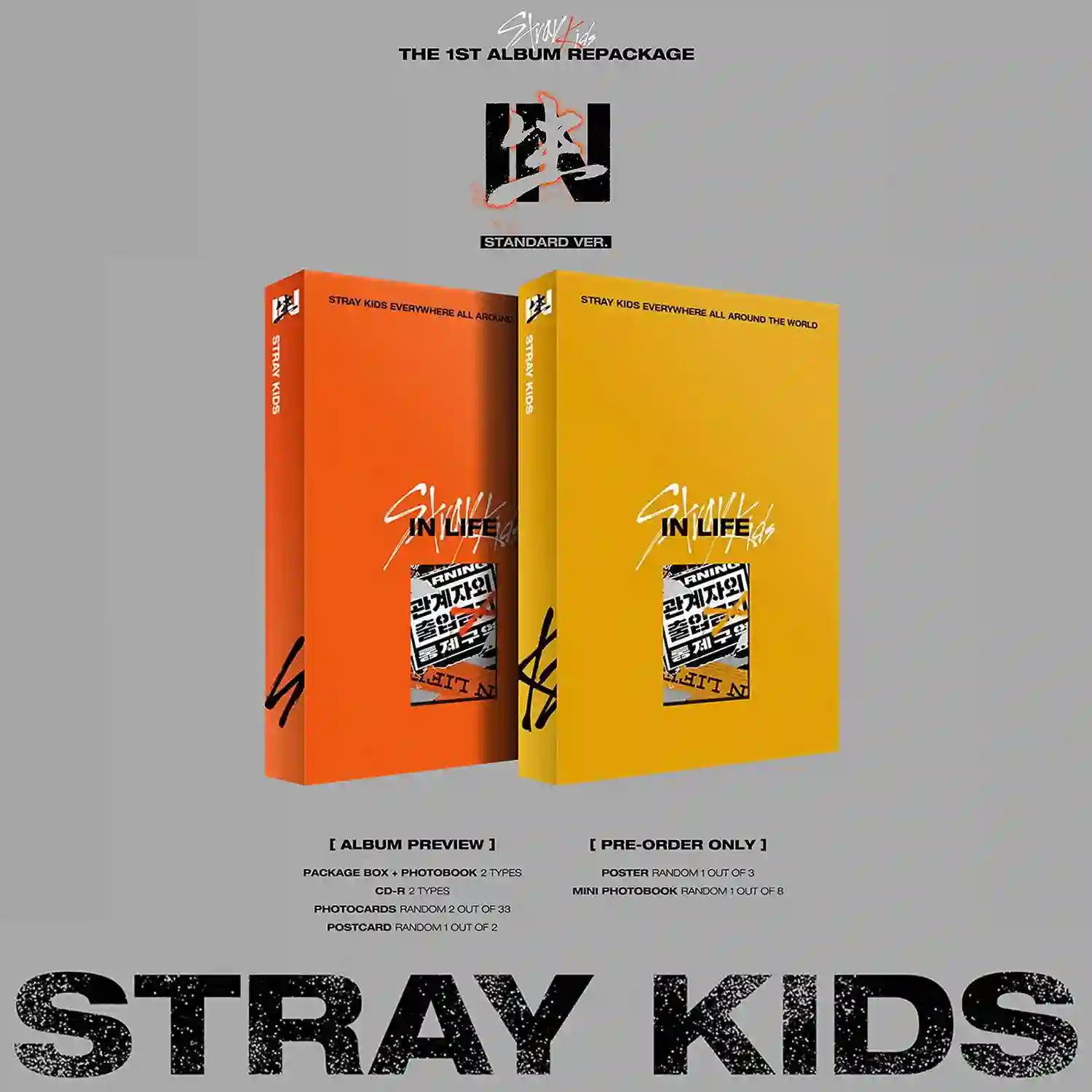 STRAY KIDS - In Life (1st Album Repackage)