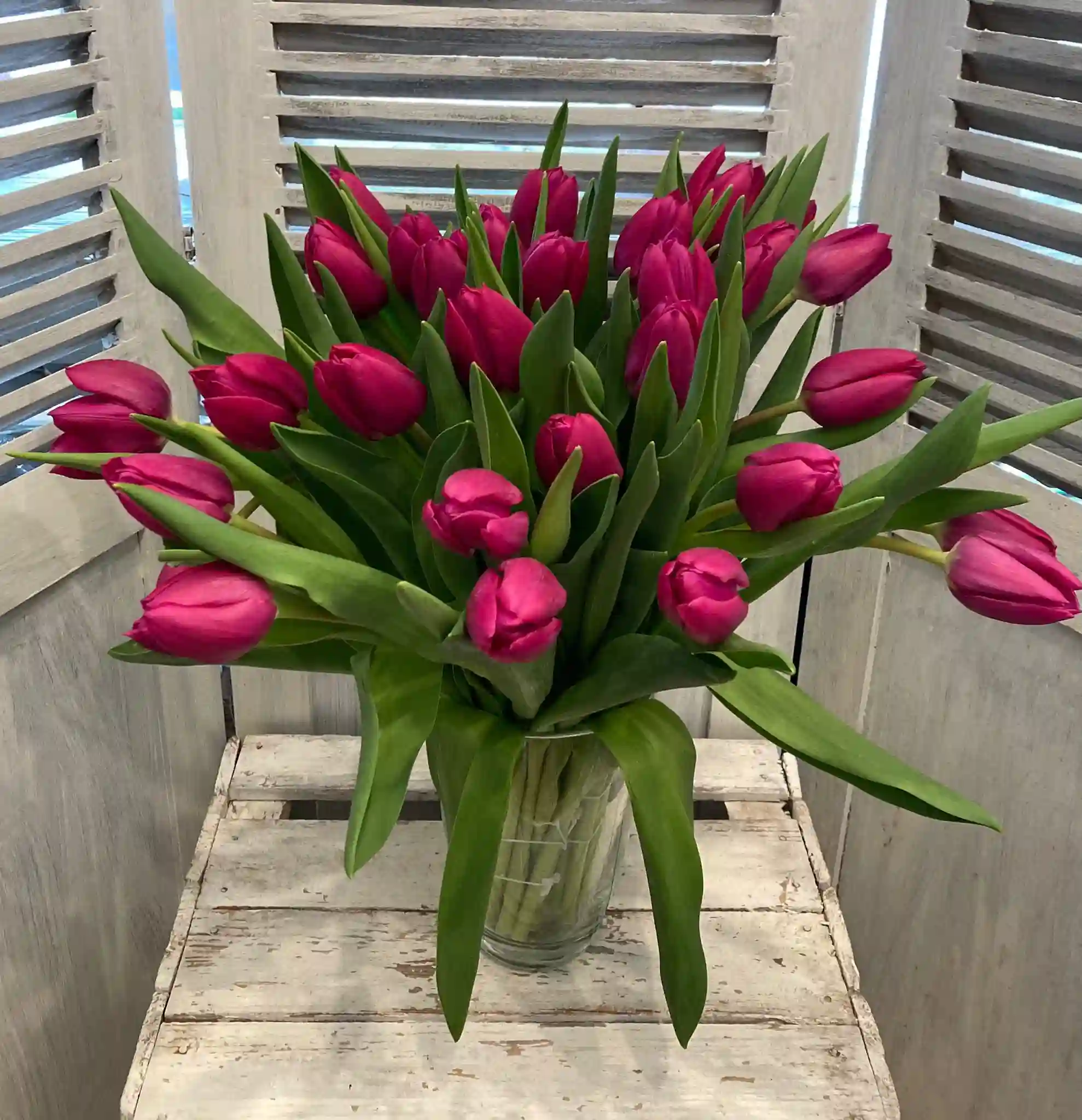 Ramo de Tulipanes Pequeño