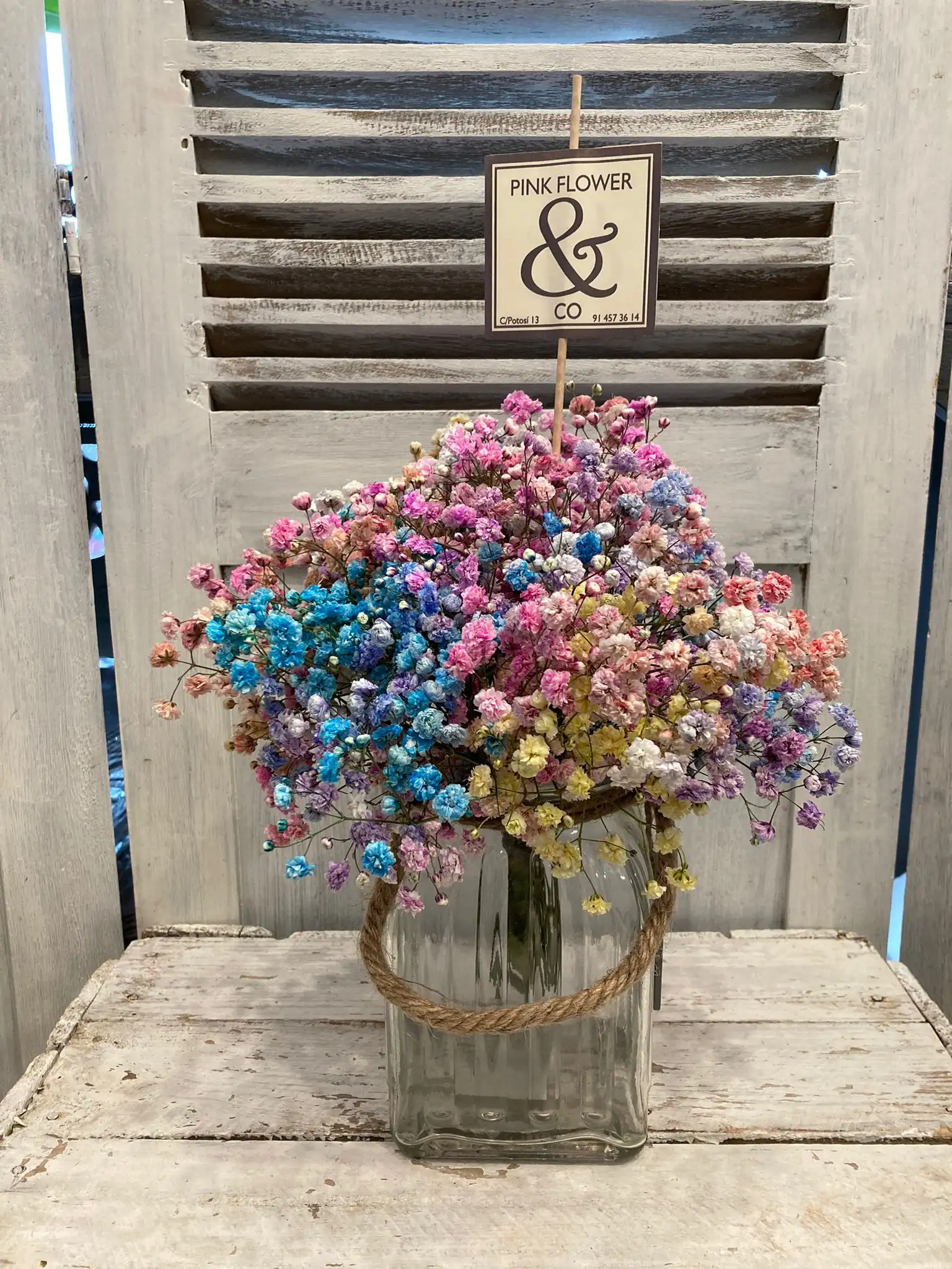 Jarra con Paniculata Multicolor