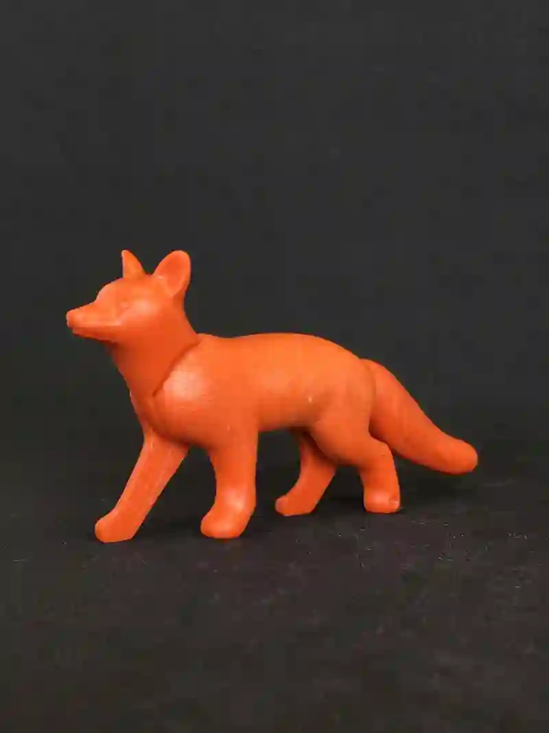 A_0007 Zorro