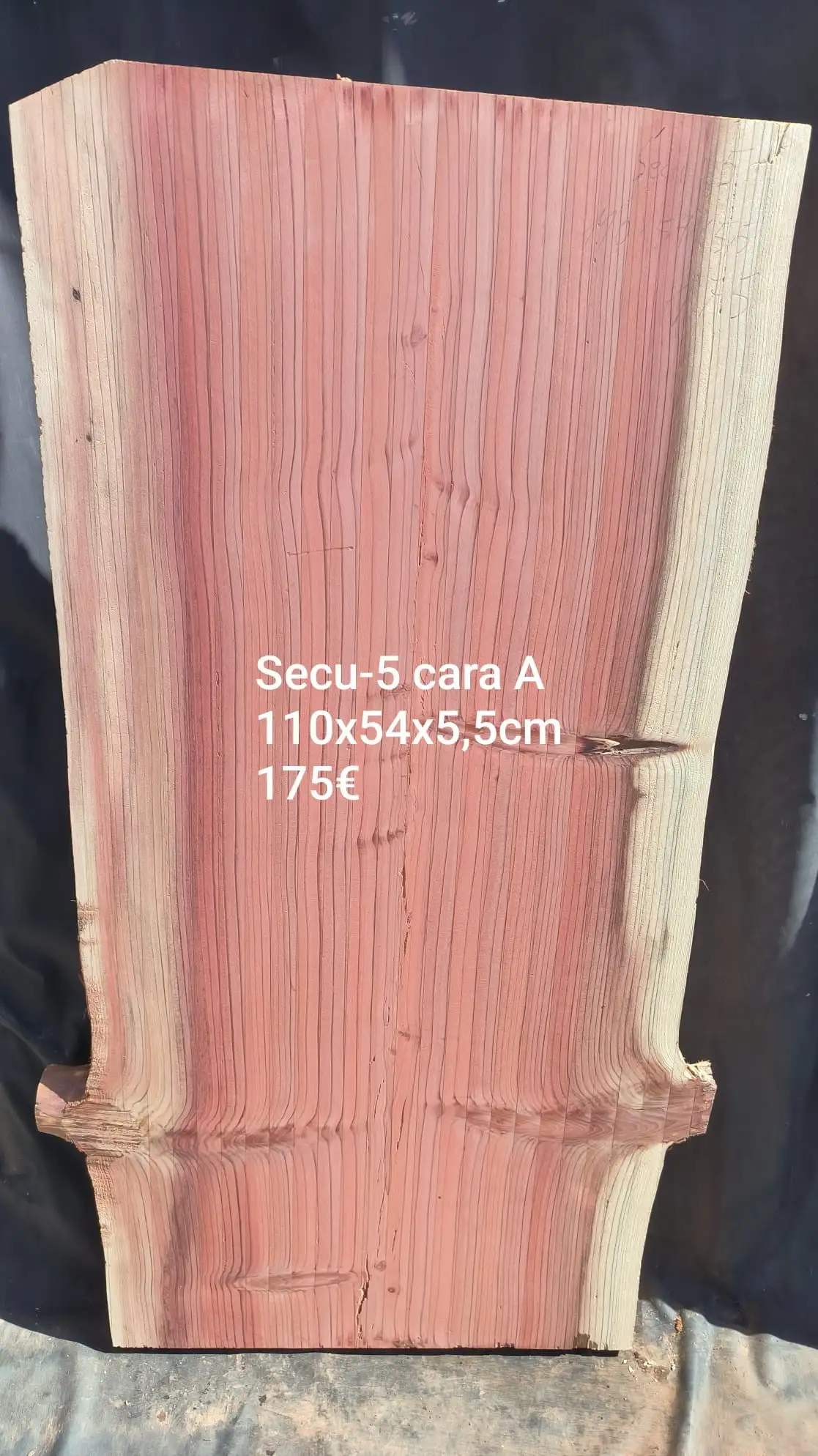 Tablón "Slab" madera de SECUOYA con medidas 1100x540x55 mm