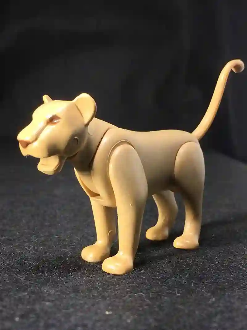 A_0308 Leone