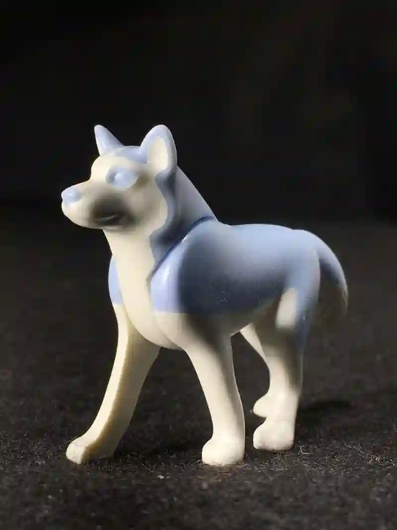 A_0309 White Husky/blue blue