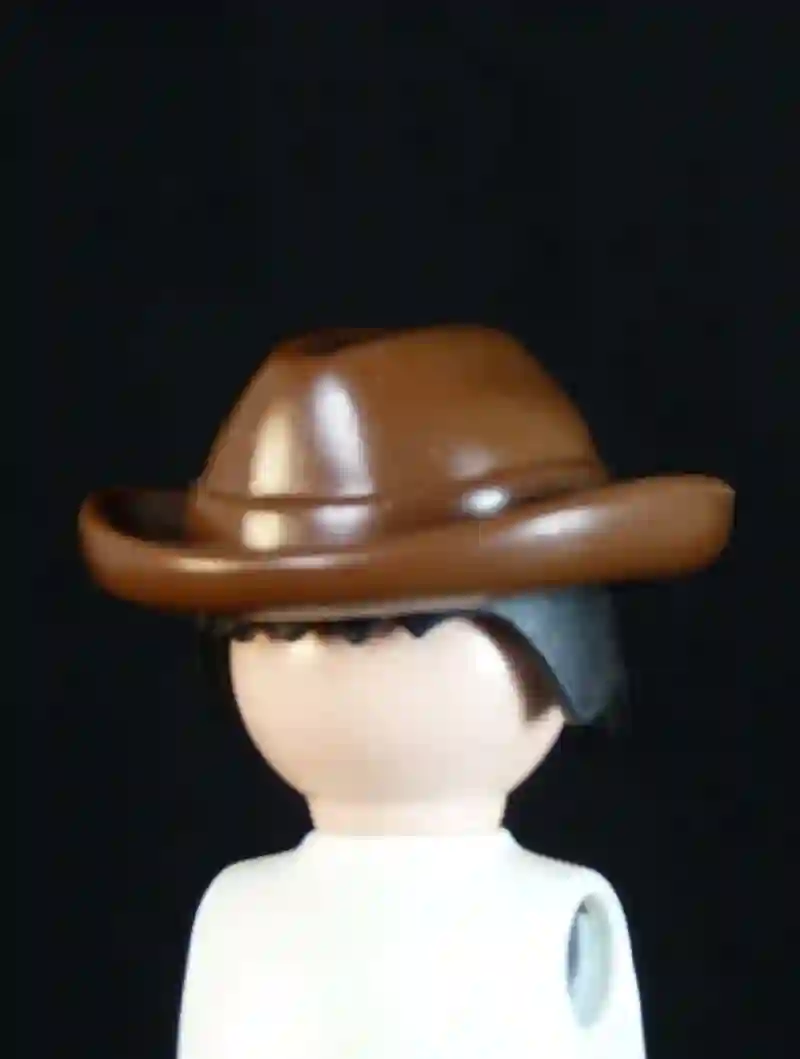 Hat_0194 Brown hat short winged