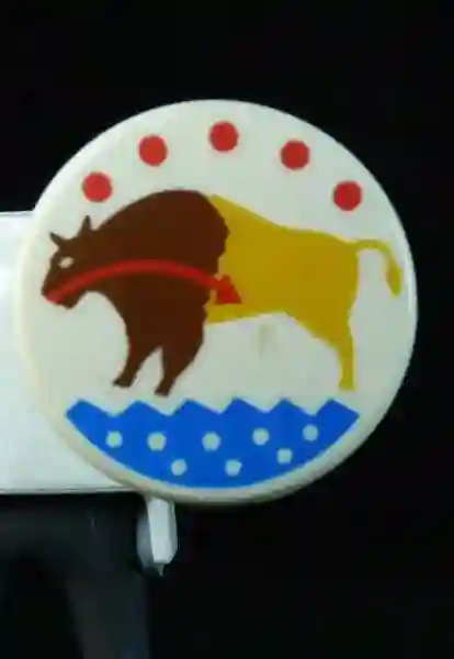 Shield_0170 Indian buffalo shield